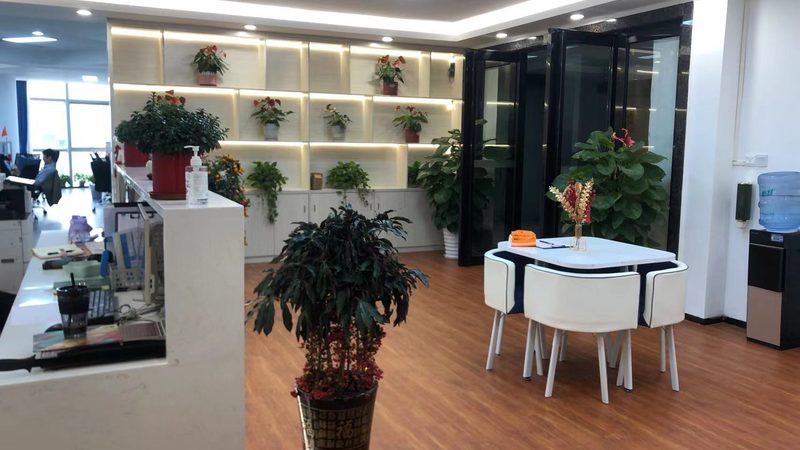 政府立项可研报告：规避五大误区，确保项目顺利推进**